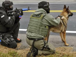 Police operating with a K9 unit